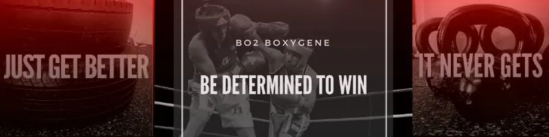 Stage de boxe remise en forme du 3 au 7 juillet 2023