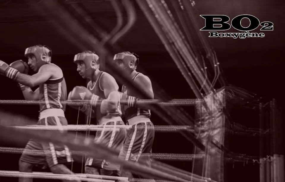 Stage de boxe – du 10 au 15 décembre 2018
