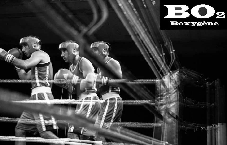 Stage de boxe – du 4 au 9 décembre 2017
